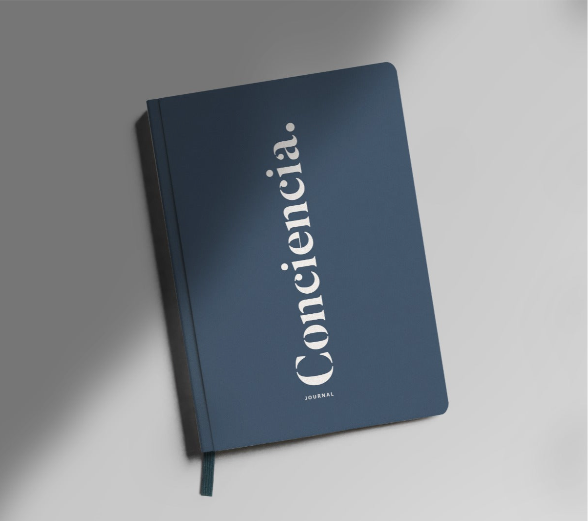 Journal Conciencia